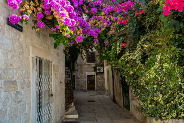 戴克里先宫被联合国教科文组织列为克罗地亚达尔马提亚斯普利特的世界遗产图片下载