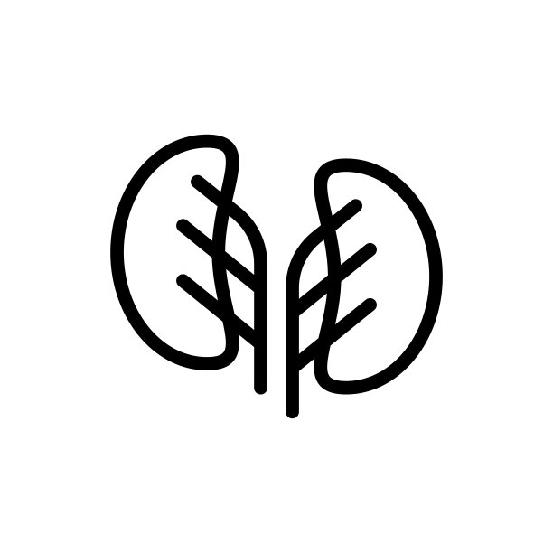 肾脏矢量图标图片下载