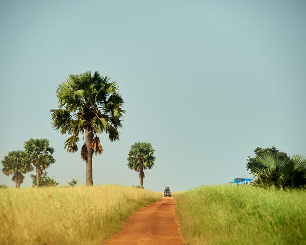 乌干达默奇森瀑布国家公园图片下载