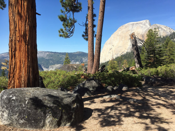 约塞米蒂国家公园图片下载