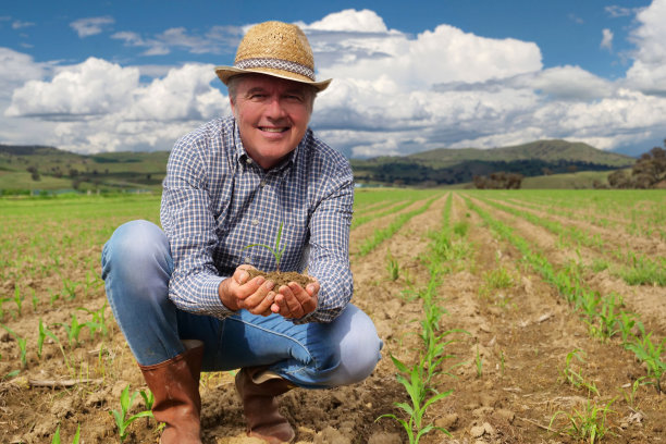 农民在田地里检查新播种的秧苗，并通过施肥和用爱心浇水来照料它们图片下载