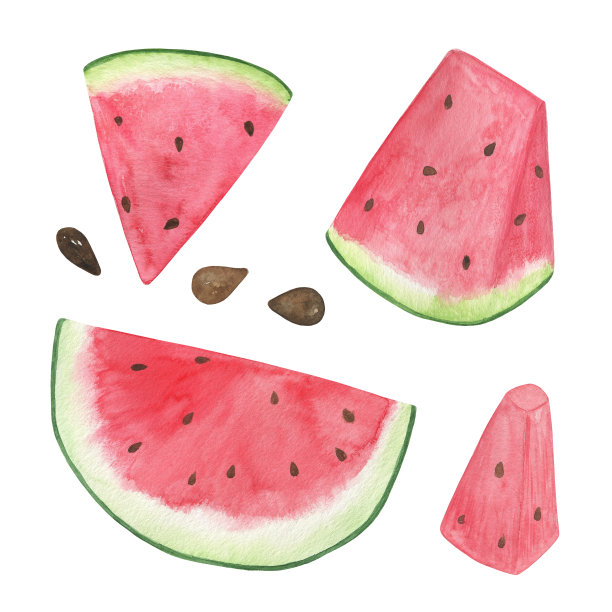 水彩插图的西瓜片设置在白色的背景，甜红多汁的水果，健康和有机饮食简单的食物模式，象征夏季和假期放松图片下载