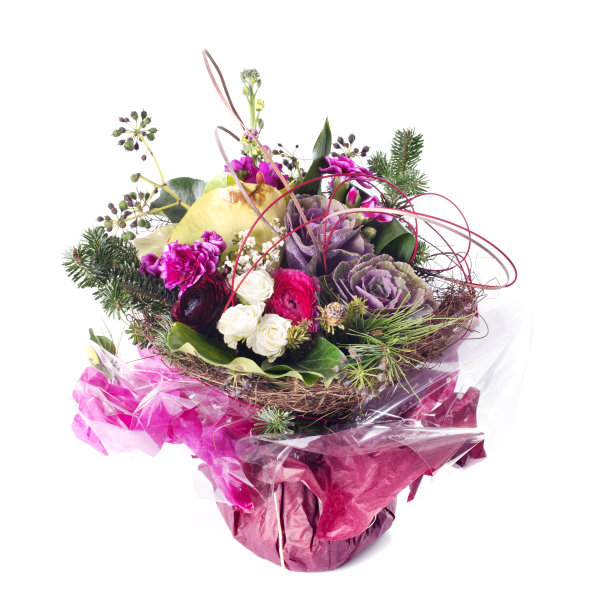 生日花图片下载