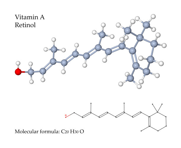 维生素A视黄醇-三维分子结构示意图图片下载
