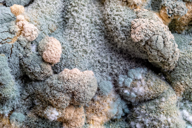 模具,关闭了。模糊的。图片下载