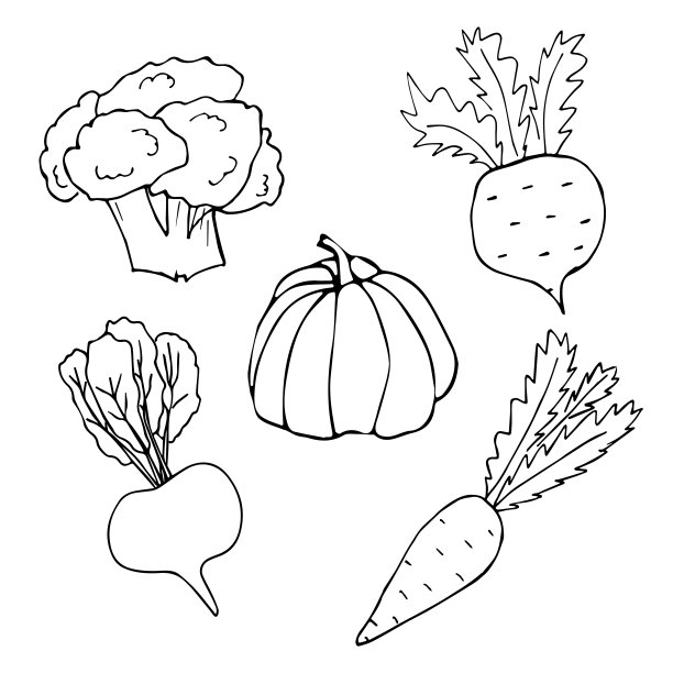 收集蔬菜在涂鸦风格。图片下载