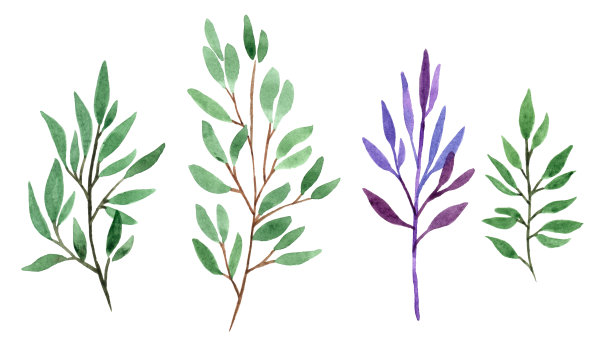 手绘插画素材ID：355022328