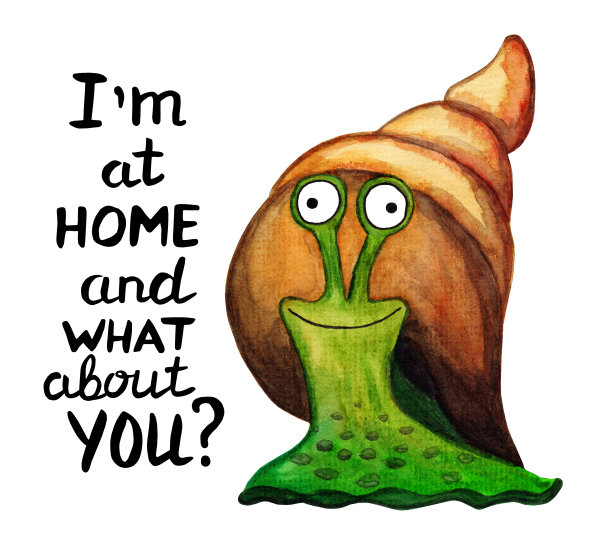 可爱的绿色蜗牛和一个棕色的壳。发短信让你开心起来。我在家，你呢?图片下载