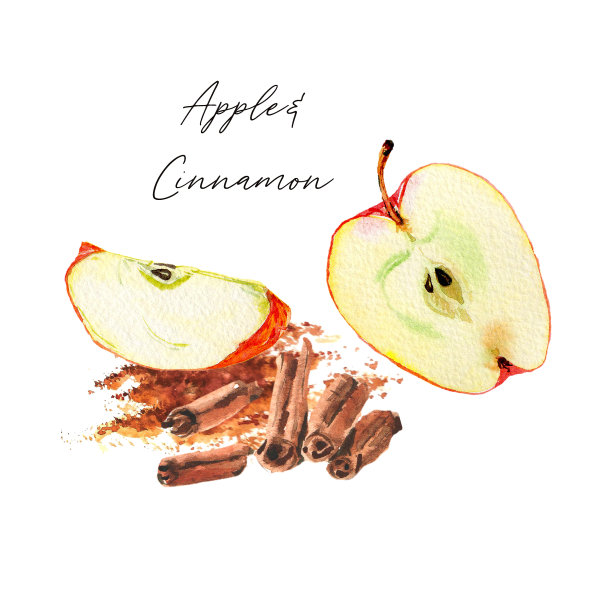 水彩插图。红苹果片，半片，肉桂棒和粉。孤立在白色背景上。专为茶叶、食品、化妆品、糖果、苹果馅面包、保健品等设计。图片下载
