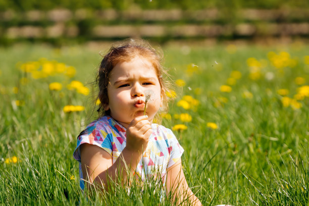 少女在草地上吹着蒲公英，夏日的背影模糊了图片下载