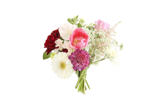 一束柔粉色的春花。图片下载