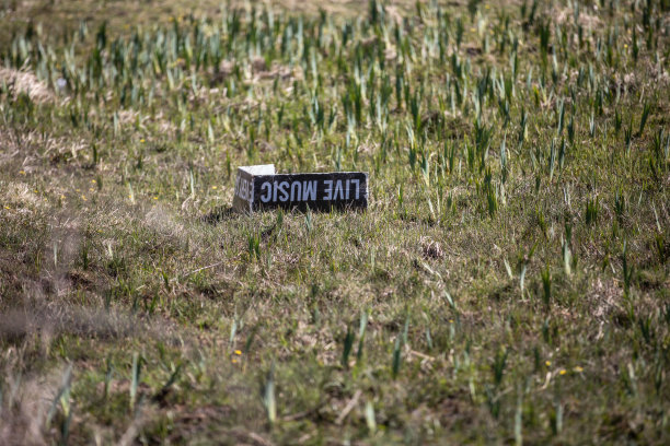 “现场音乐”(Live Music)的塑料破旧标志被吹到田野里图片下载