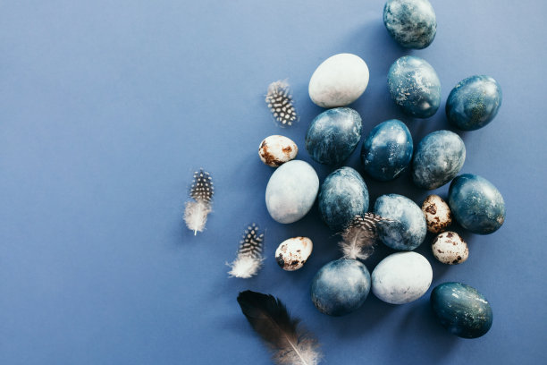 美丽的群暗蓝色复活节蛋鹌鹑蛋和羽毛在蓝色的背景。复活节的概念。边境鸡蛋。为文本复制空间。图片下载