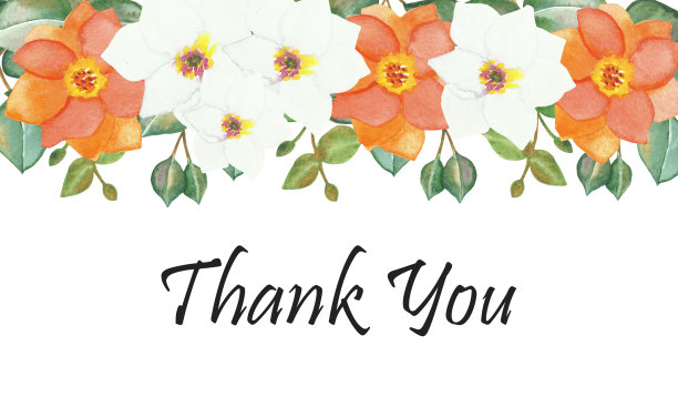 水彩手画自然花卉组成横幅与白色和橙色的花和绿色桉树叶在树枝上与感谢你的文字在白色的背景为贺卡图片下载
