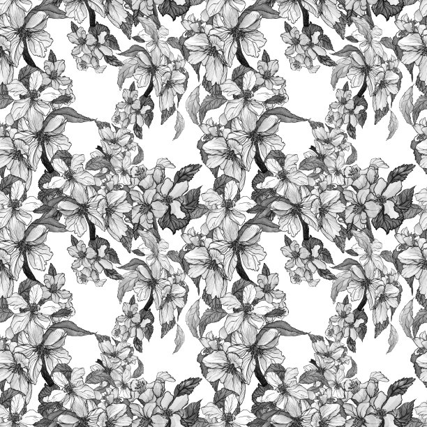 水彩画用水彩和墨水画的画苹果树的花。无缝模式。纺织品，墙纸，包装，封面，织物的设计。图片下载