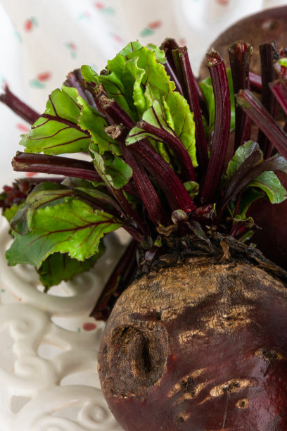 孤立的生甜菜根在白色背景上图片下载