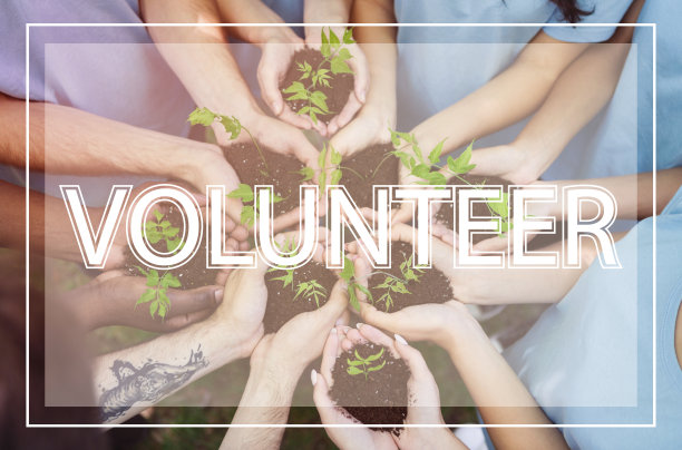 自然保护。一群年轻人抱着绿色幼苗在圈和字志愿，拼贴图片下载