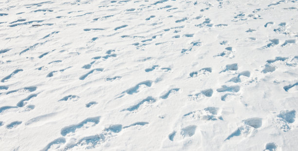雪地里的脚印图片下载