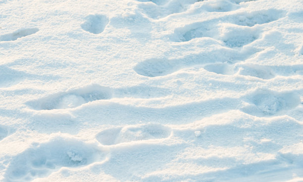 雪地里的脚印图片下载