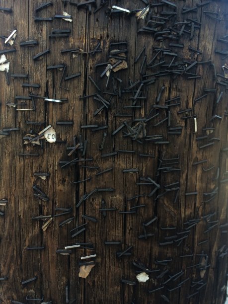 背景木桩与订书钉图片下载