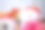 五颜六色的花的背景。图片下载
