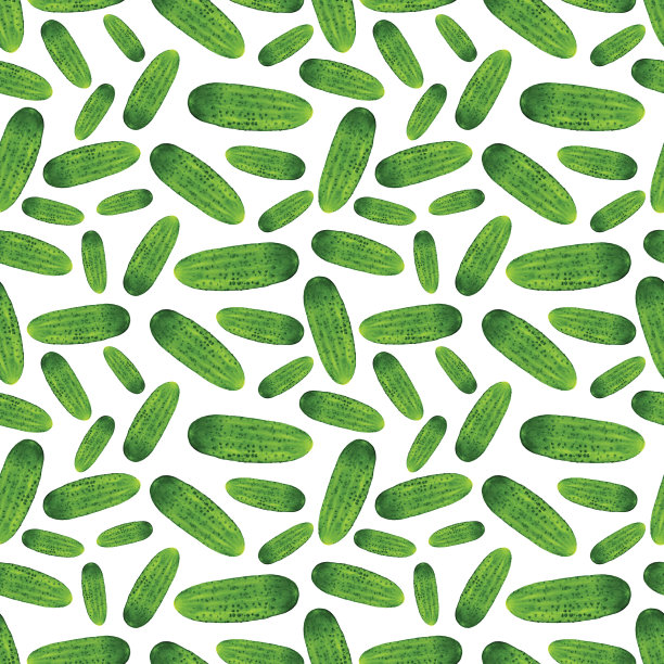 白色背景上的新鲜绿黄瓜素材图片