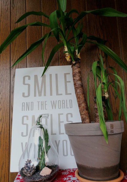 带有现代元素的质朴家居设计图片下载