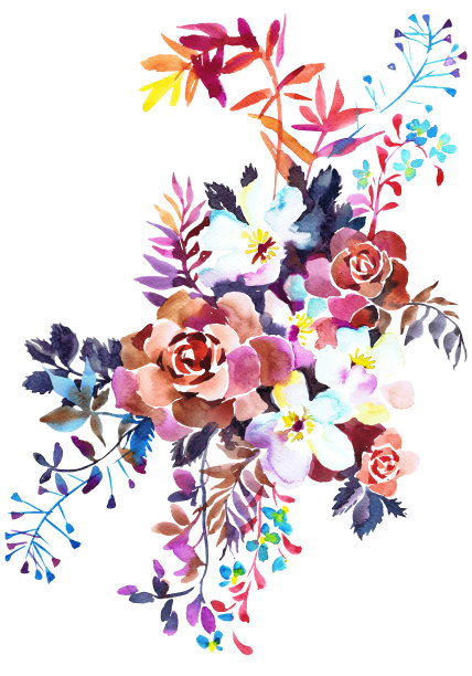 水彩玫瑰花束画孤立在白色图片下载