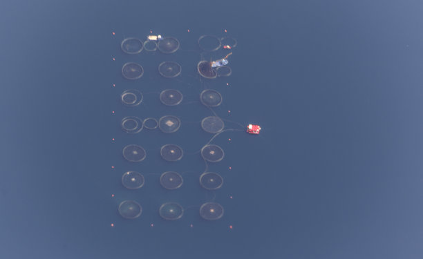 爱琴海gulluk湾靠近milas bodrum mugla turkey的养鱼场图片下载