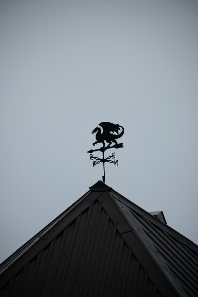 黑龙逆风向天。图片下载