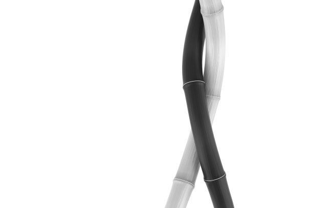 禅宗黑竹插图裁剪在白色的背景图片下载