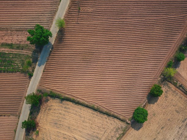 无人机无人机摄影俯视图农村农场泰国森林树图片下载