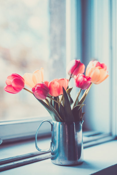 郁金香,花卉图片下载