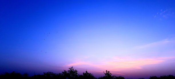 早上蓝调图片下载