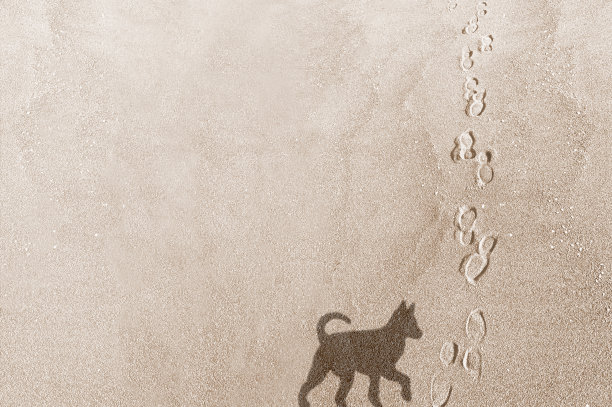 遛狗的影子和鞋子的脚印在沙地上作背景图片下载