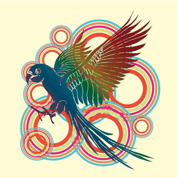 鹦鹉棕榈滩矢量艺术图片下载