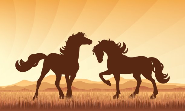 马在田野上的日落背景矢量剪影插图图片下载