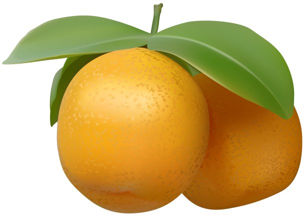 橘子图片下载