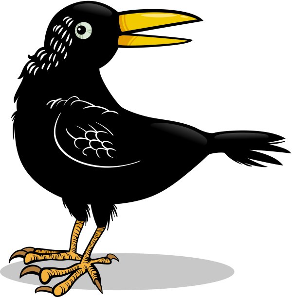 乌鸦或乌鸦鸟卡通插图图片下载