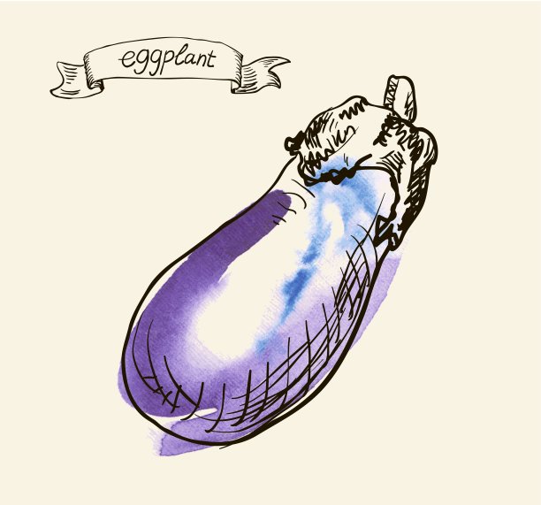 手绘茄子图图片下载