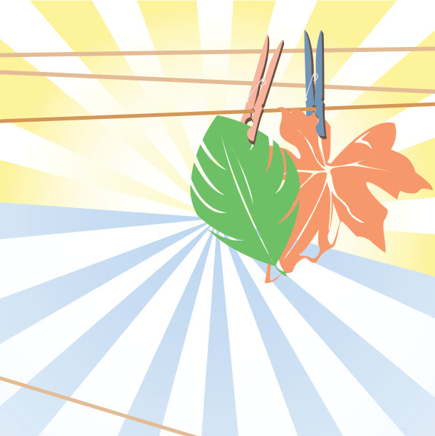 干树叶图片下载