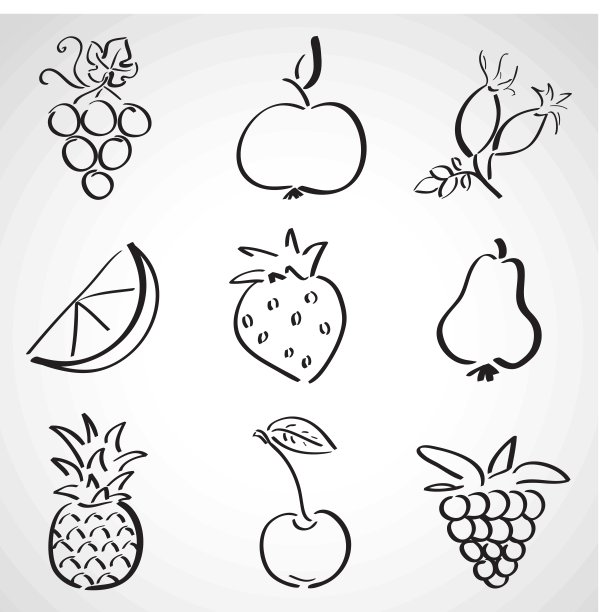 水墨速写集-水果和浆果图片下载