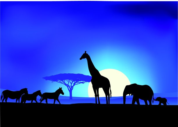 Safari背景图片下载