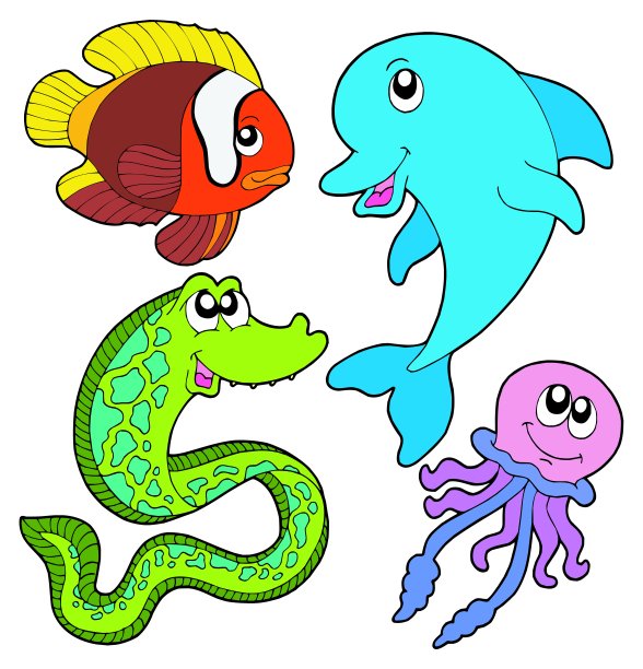 海洋鱼类收藏图片下载