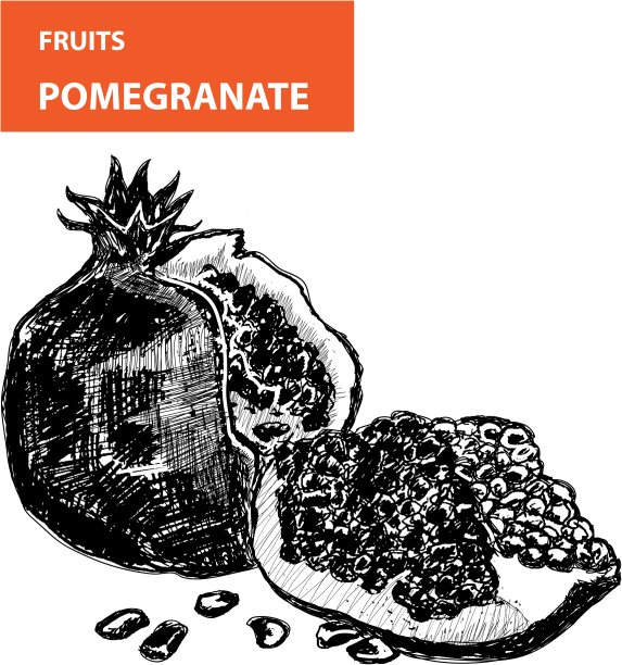 Pemagranate图片下载