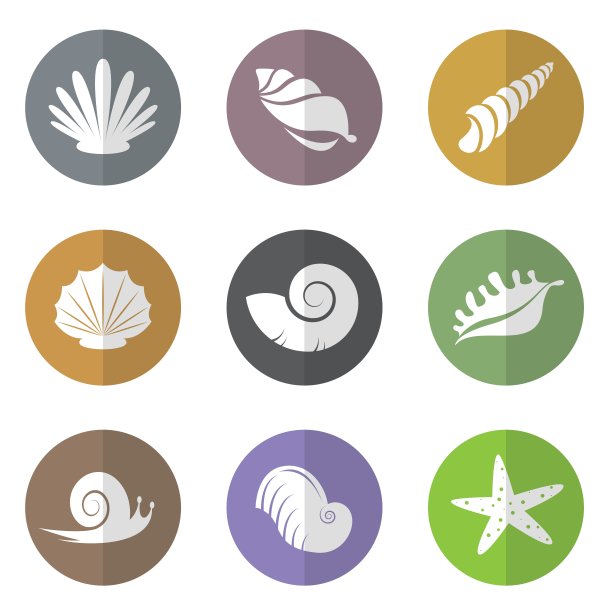 圆中贝类的载体群图片下载