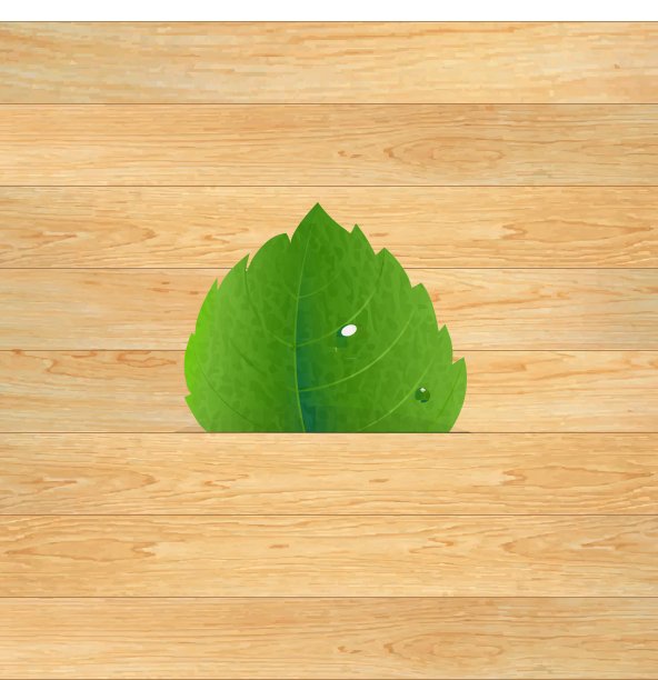 带叶子的木质纹理图片下载