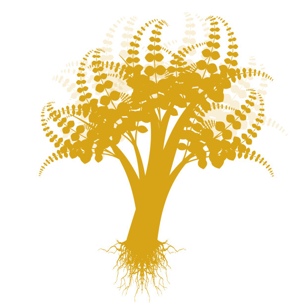 艺术的树图片下载