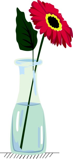 非洲菊的花瓶图片下载