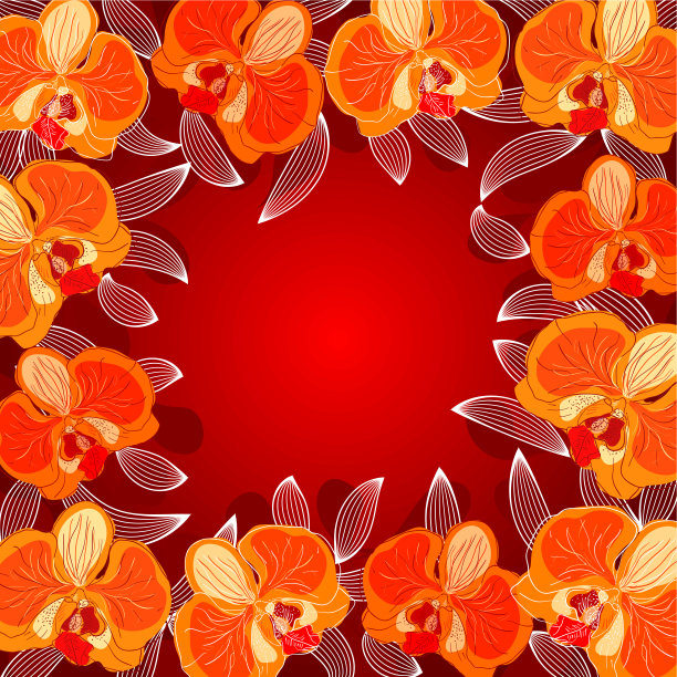 兰花框架图片下载